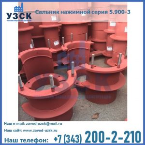 Сальники нажимные серия 5.900-3 в Муроме